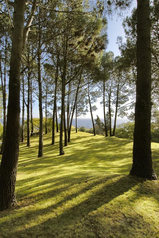 Hotel Del Lago Golf & Art Resort Punta Ballena Exteriér fotografie
